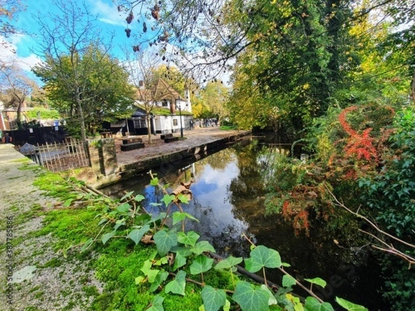Fototapeta bridge over the river