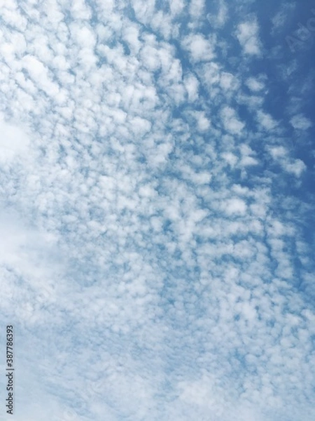 Obraz Processed with VSCO with f2 preset