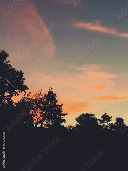 Obraz Processed with VSCO with f2 preset