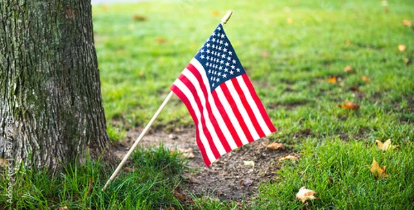 Obraz American Flag Isolated Next to a Tree in a Park with Green Grass and Leaves