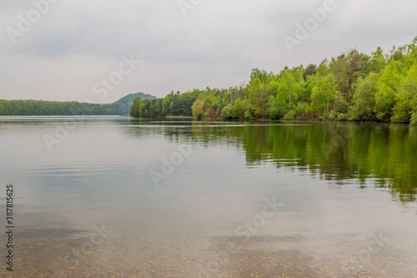 Fototapeta Crystal clear water in a lake surrounded by lush trees and green vegetation, cloudy day with a cloud covered sky, tranquility to meditate and enjoy nature in Maasmechelen, Belgium