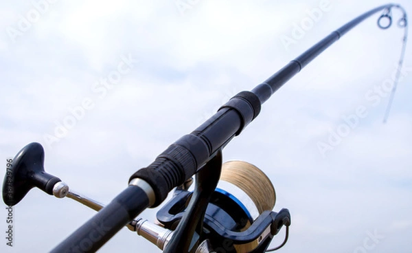 Obraz fishing rod and reel
