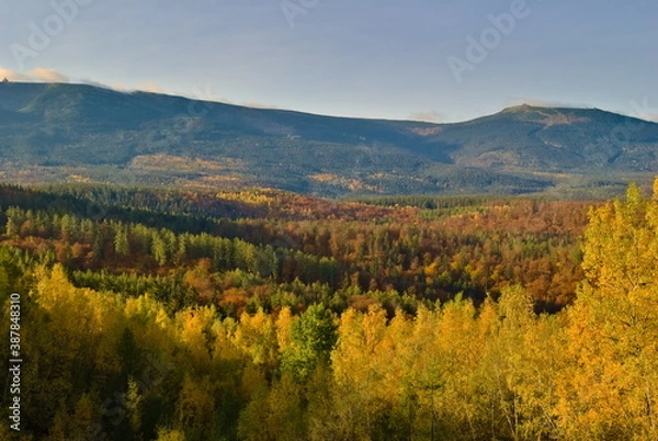 Fototapeta Karkonosze w jesiennej scenerii | Złoty Widok w Michałowicach | Wschód słońca w polskich górach - Sudetach | Intensywne kolory i barwy. 
