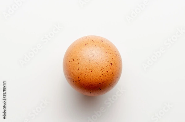 Fototapeta eggs on a white background. comparison. round egg.