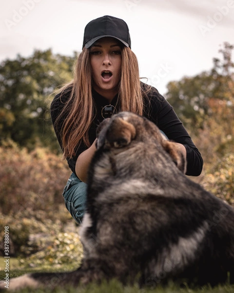 Fototapeta Vertical shot of a woman making a shocked expression as she is trying to pull the stick out of the dogs mouth. Playing a game of fetch and the dog wont let go of his toy