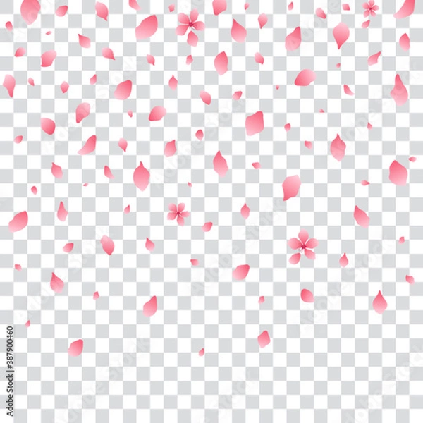 Fototapeta Sakura blossom falling petals, isolated, vector illustration.