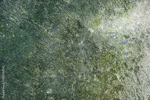 Fototapeta green texture