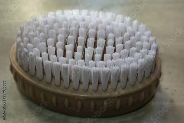 Fototapeta brush for cleaning