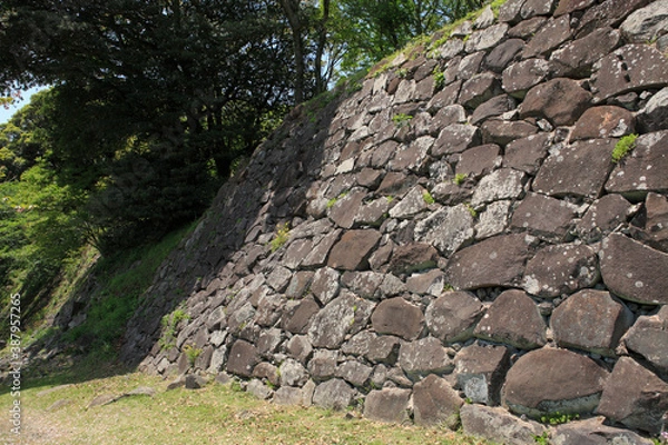 Fototapeta 名護屋城跡