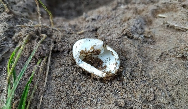 Obraz heart on the sand