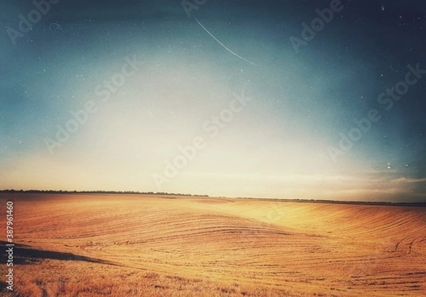 Obraz sunset over the field