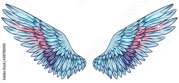 Obraz Beautiful magic gradient blue pink angel wings, vector