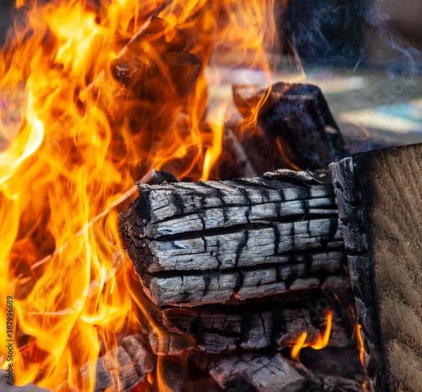 Obraz fire in the fireplace