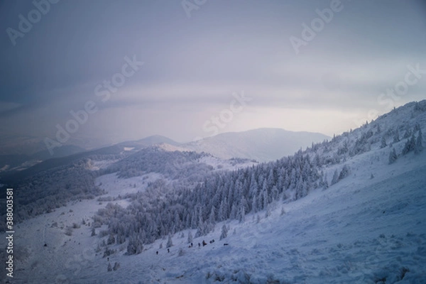 Obraz winter mountain landscape