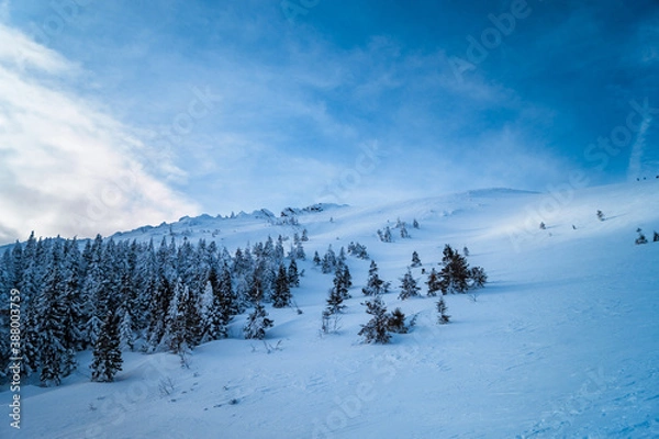 Obraz winter mountain landscape