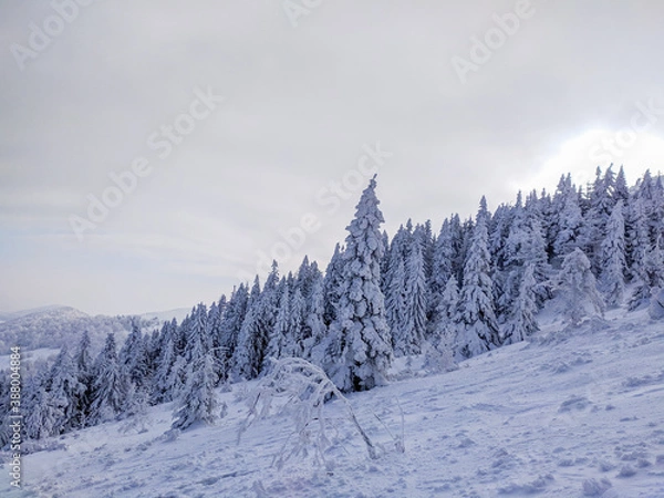 Fototapeta winter mountain landscape