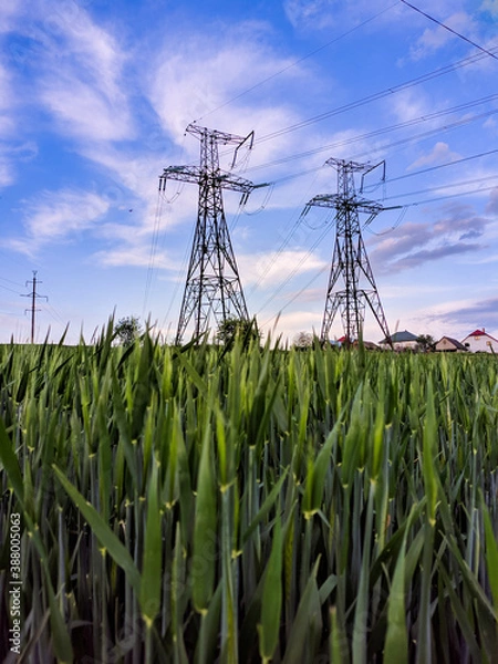 Fototapeta power lines in the field