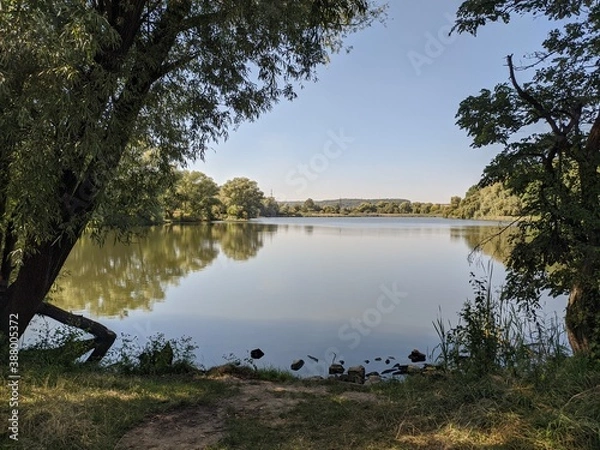Fototapeta reflection of trees in lake