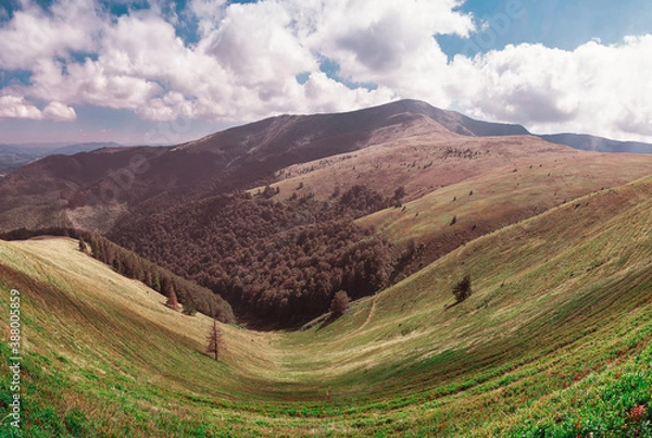 Obraz landscape in the mountains
