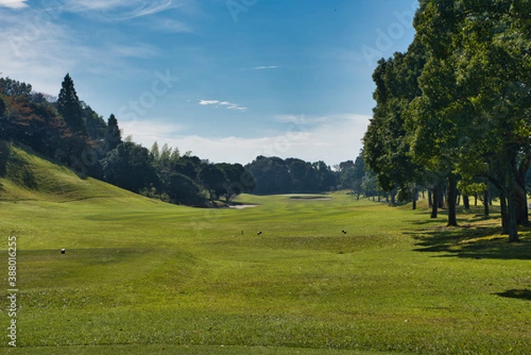 Fototapeta ゴルフ