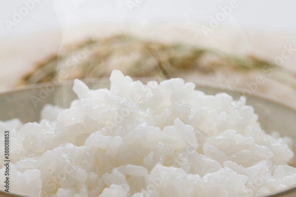 Fototapeta ご飯と稲穂