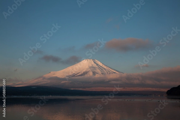 Obraz 朝日を浴びる山中湖からの富士山