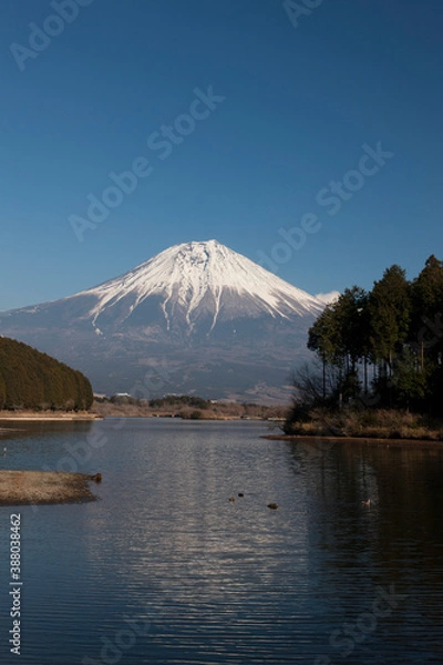 Fototapeta 田貫湖からの富士山