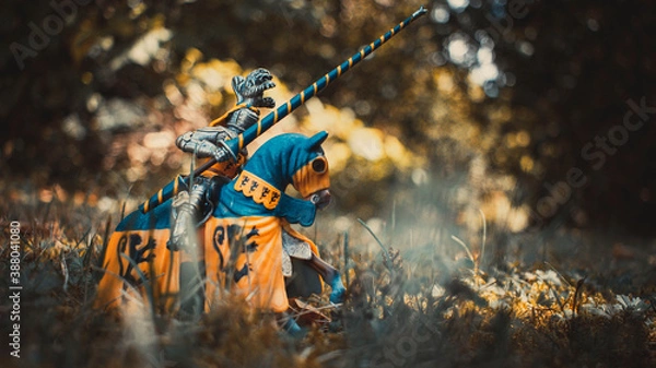 Obraz Knight on horseback