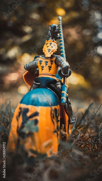 Obraz Knight on horseback