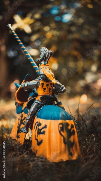 Obraz Knight on horseback