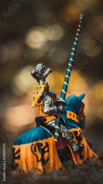 Obraz Knight on horseback