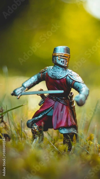 Obraz Knight with a drawn sword