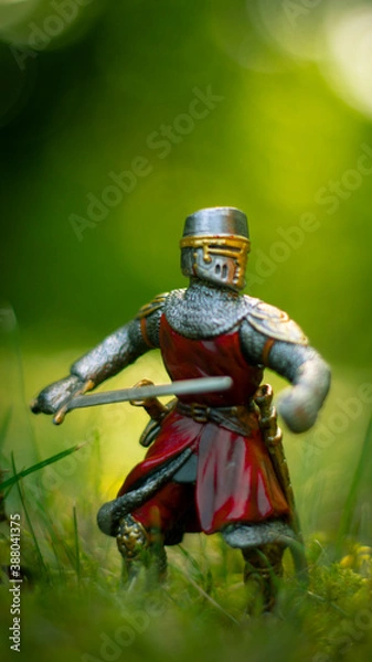 Obraz Knight with a drawn sword