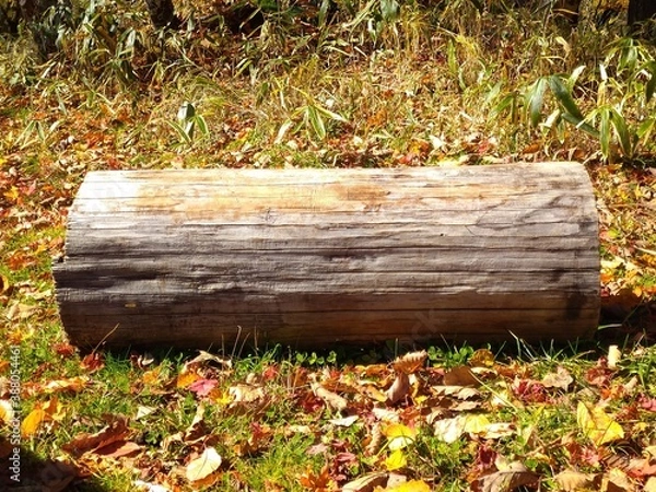 Fototapeta 丸太のベンチ