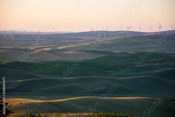 Obraz The Golden Hour