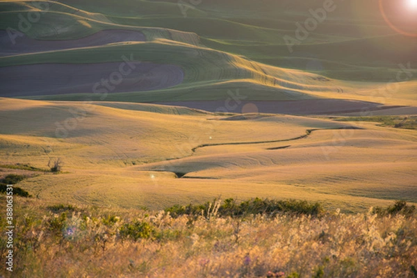 Obraz sunset over the field