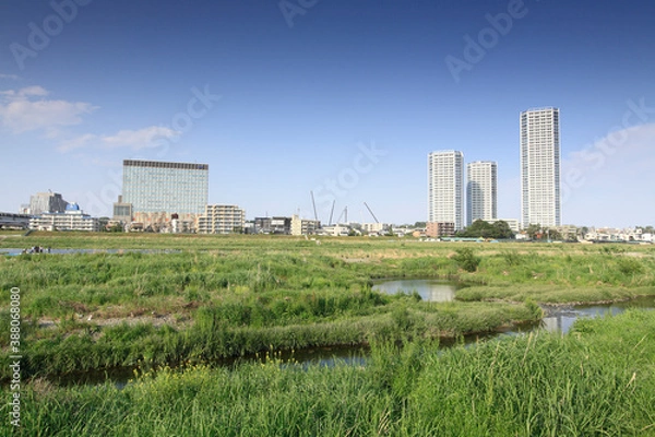 Fototapeta 多摩川と二子玉川再開