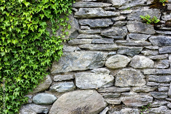 Obraz Stone wall with leafs.