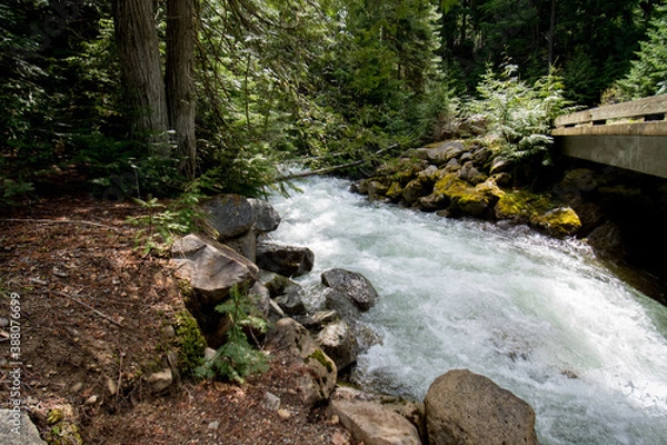 Obraz waterfall in the mountains