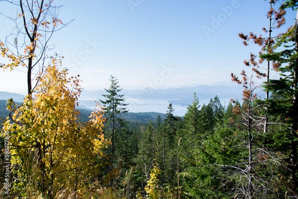 Obraz autumn in the mountains