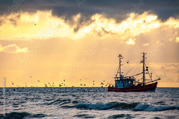 Obraz Fischkutter mit Möwen