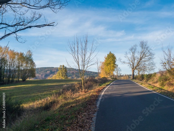 Fototapeta Asphalt road winding through colorful deciduous forest in the autumn with fallen leaves of oak and Maple and birch Trees, deminishing perspective, blue sky white clouds