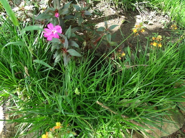 Obraz GEDSC DIGITAL CAMERA