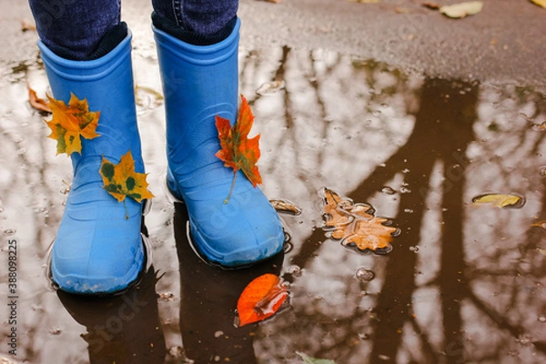 Obraz Teenager girl wearing blue rain boots jumping into a puddle on rainy autumn day. Closeup.