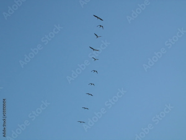 Obraz GEDSC DIGITAL CAMERA.