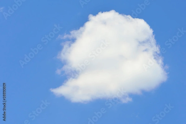 Obraz 青空と白い雲