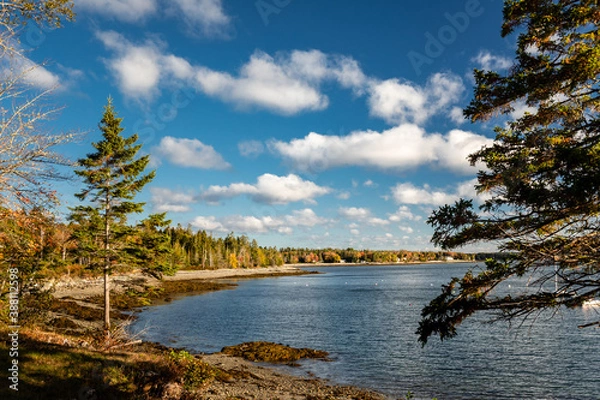 Obraz Maine shoreline under a fall sky with billowing clouds and colorful autumn shoreline of Hancock Point.