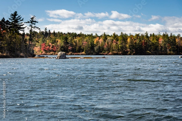 Obraz Fox Pond in Hancock County Maine on a sunny day with fall foliage.