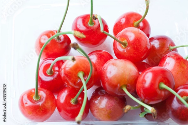 Fototapeta さくらんぼ