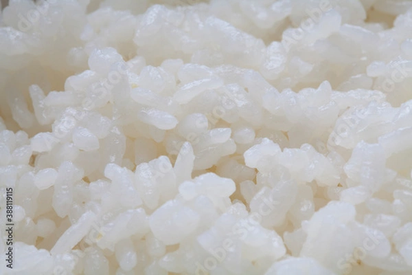 Fototapeta 白米